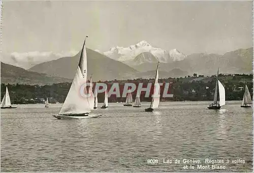 Cartes postales moderne Geneve Lac de Geneve Regates a voiles et le Mont-Blanc