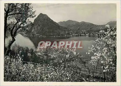 Cartes postales moderne Lugano in primavera