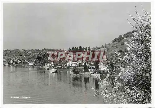 Cartes postales moderne Weggis Kurort