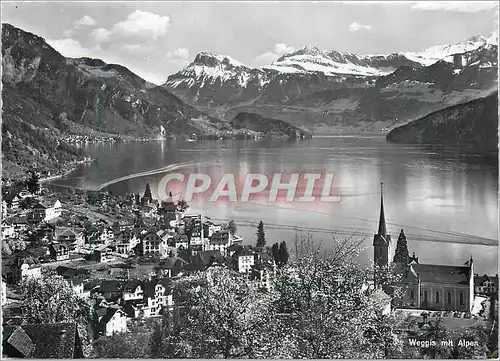Cartes postales moderne Weggis mit Alpen