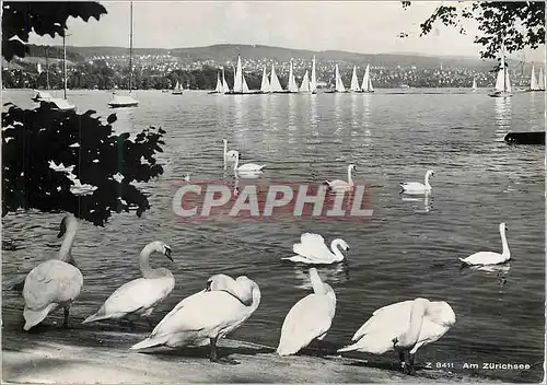 Cartes postales moderne Zurich