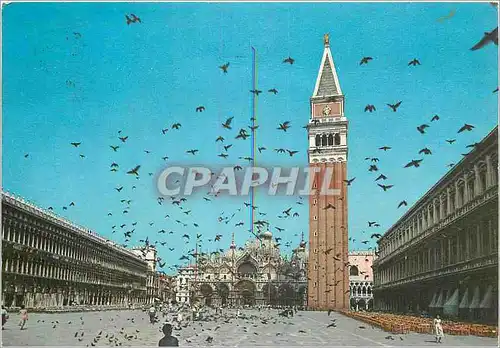 Cartes postales moderne Venezia Place Saint-Marc Vol de pigeons