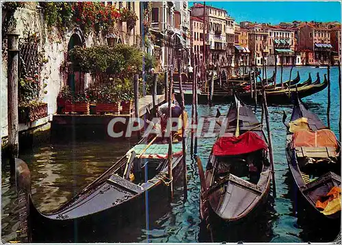 Cartes postales moderne Venezia San Marco