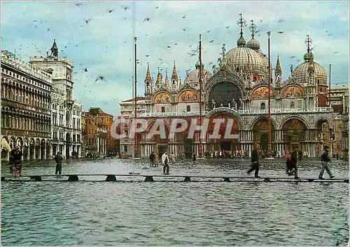 Cartes postales moderne Venezia Basilique de Saint-Marc