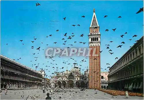 Cartes postales moderne Venezia Place Saint-Marc Vol de pigeons