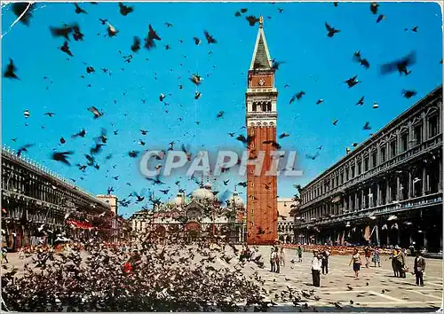 Cartes postales moderne Venezia Saint-Marc volee de pigeons