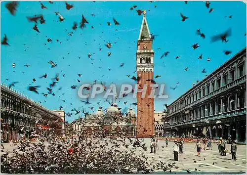 Cartes postales moderne Venezia Place Saint-Marc Volee de pigeons