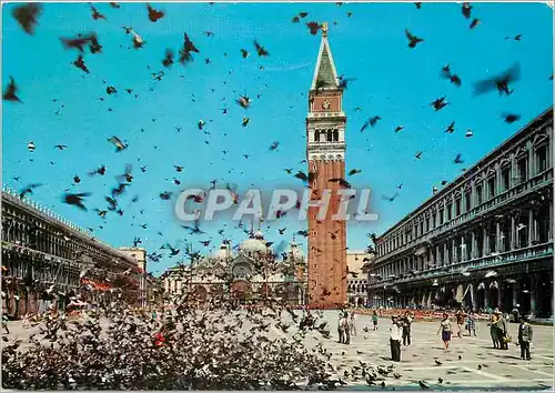 Moderne Karte Venezia Place Saint-Marc Volee de pigeons