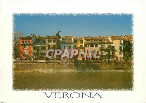Cartes postales moderne Verona Lungadige Donatelli
