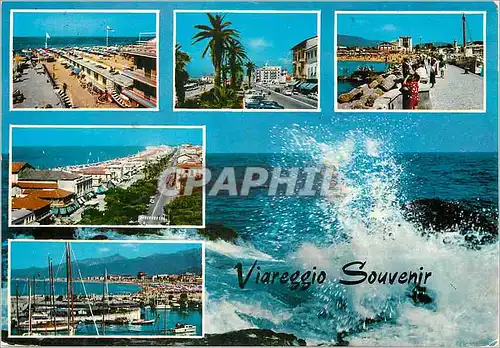 Cartes postales moderne Viareggio souvenir