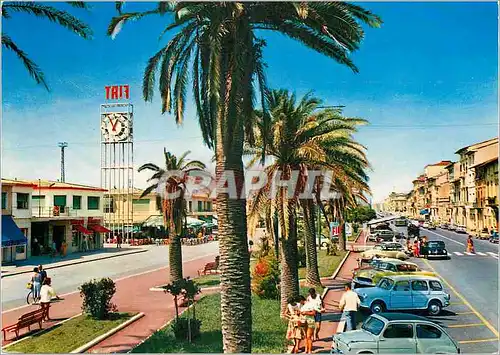 Cartes postales moderne Viareggio Des allees le long de la mer