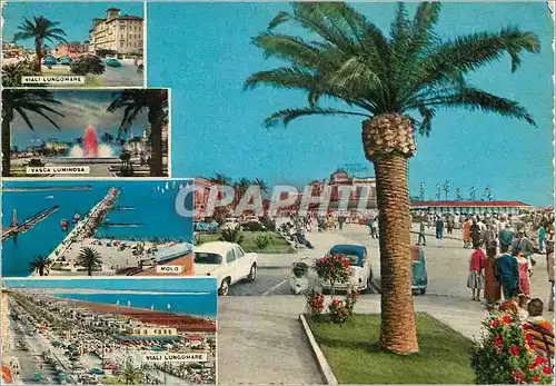 Cartes postales moderne Viareggio Salutations de Viareggio