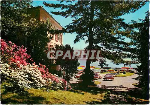 Cartes postales moderne Villa Carlotta Belgirale (Lago Maggiore)