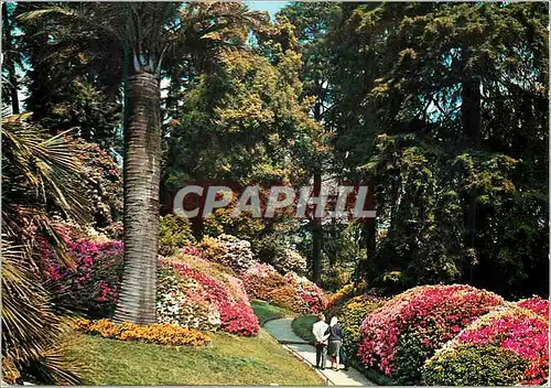 Cartes postales moderne Villa Carlotta Lac de Come