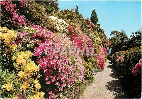 Cartes postales moderne Villa Carlotta (Lago di Como) Viale delle Azalee