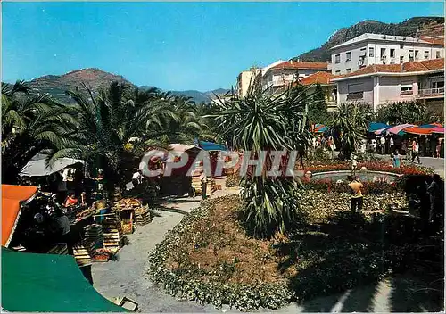 Cartes postales moderne Ventimiglia Riviera Dei Fiori La Marche