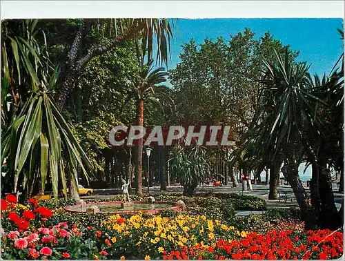 Cartes postales moderne Ventimiglia Riviera Dei Fiori Jardin publiques