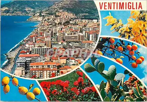 Cartes postales moderne Ventimiglia Riviera Dei Fiori Vue de l'avion