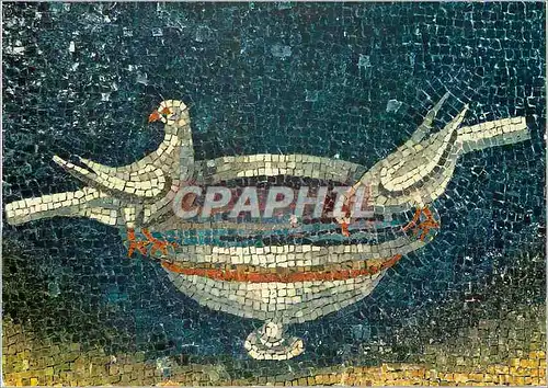 Moderne Karte Ravenna galla placidia (VIs) les pigeons qui se desalterent