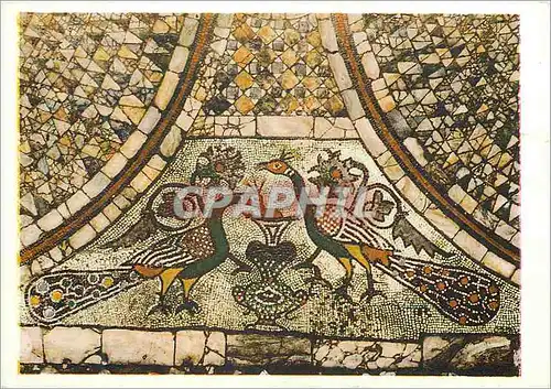 Moderne Karte Murano S Donato Due Pavoni Pavimento bizantino
