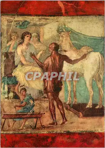 Cartes postales moderne Pompei la maison des vetti dedale et pasiphae
