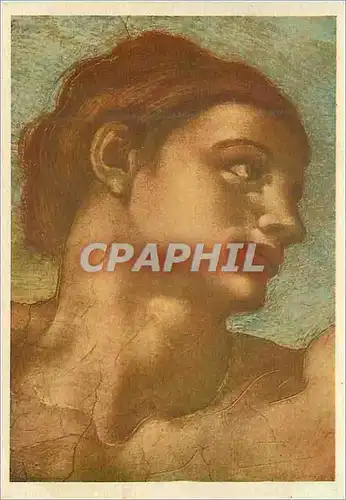 Cartes postales moderne Roma Testa di adamo (particolare della creazione dell uomo) michelangelo cappella sistina