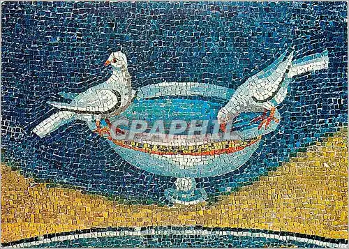 Cartes postales moderne Ravenna galla pigeons qui se desalterent
