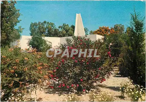 Cartes postales moderne Tunisie residence club de skanes