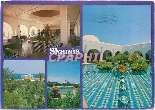 Cartes postales moderne Tunisie residence shems skanes