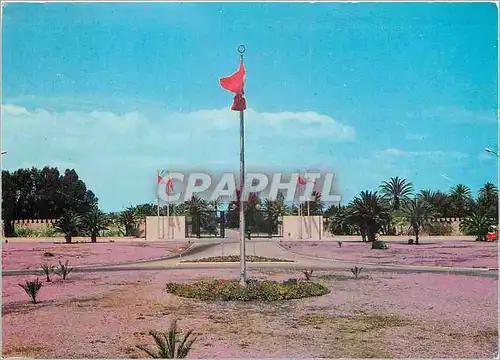 Cartes postales moderne Tunisie skanes entree du palais presidentiel