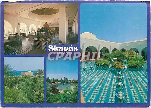 Cartes postales moderne Tunisie