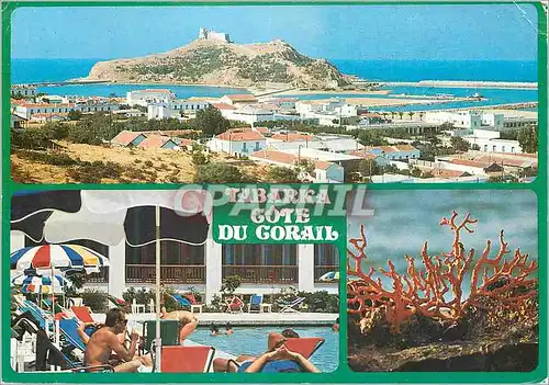Cartes postales moderne Tabarka cote de corail