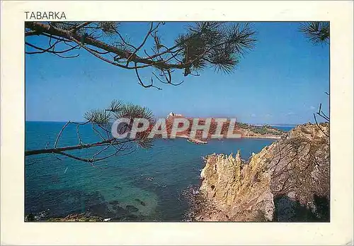 Cartes postales moderne Tabarka la mer les aiguilles