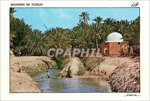 Moderne Karte Tozeur riviere et marabout dans l'oasis