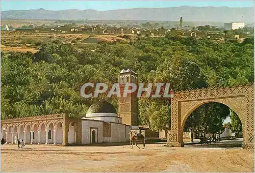 Cartes postales moderne Tozeur