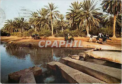 Moderne Karte Tozeur tunisie le partage des eaux (la berka)