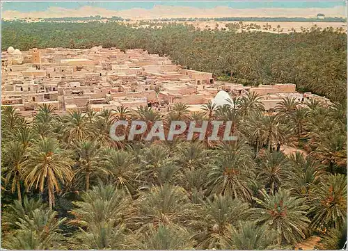 Cartes postales moderne Tozeur (tunisie) vue generale