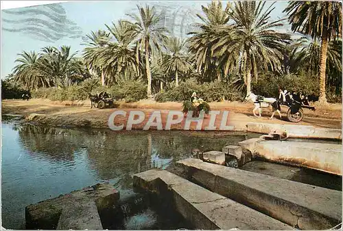 Moderne Karte Tozeur (tunisie) le partage des eaux