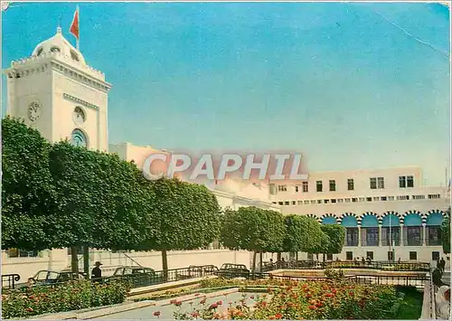 Cartes postales moderne Tunis place du gouvernement