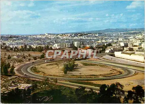 Cartes postales moderne Tunis vue generale