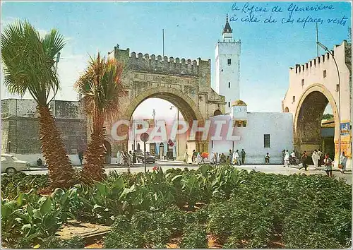 Cartes postales moderne Tunis