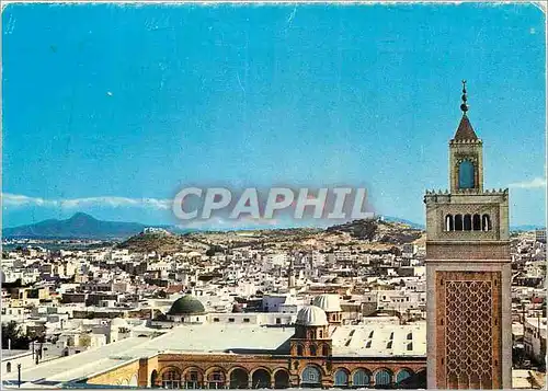 Cartes postales moderne Tunis vue generale