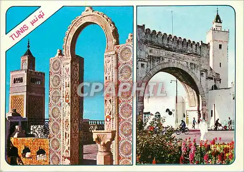 Cartes postales moderne Tunis