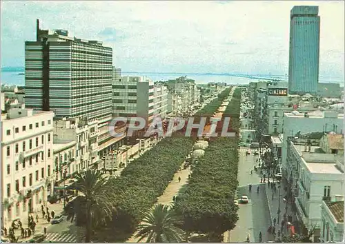 Cartes postales moderne Tunis afvenue bourguiba