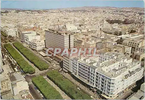 Cartes postales moderne Tunis vue generale