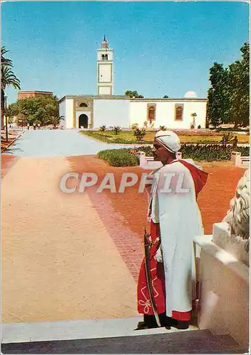 Cartes postales moderne Tunis le bardo