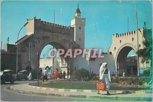 Cartes postales moderne Tunis bab el khadra