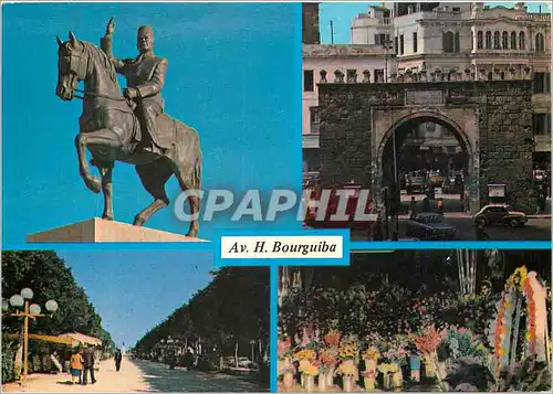 Cartes postales moderne Tunis avenue habib bourguiba