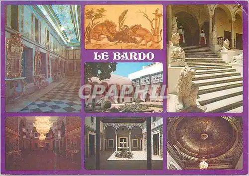 Cartes postales moderne Tunisie Ducks canards musee national du bardo