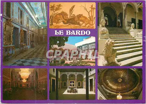 Cartes postales moderne Tunisie de toujours le domaine du seigneur julius (musee du bardo)